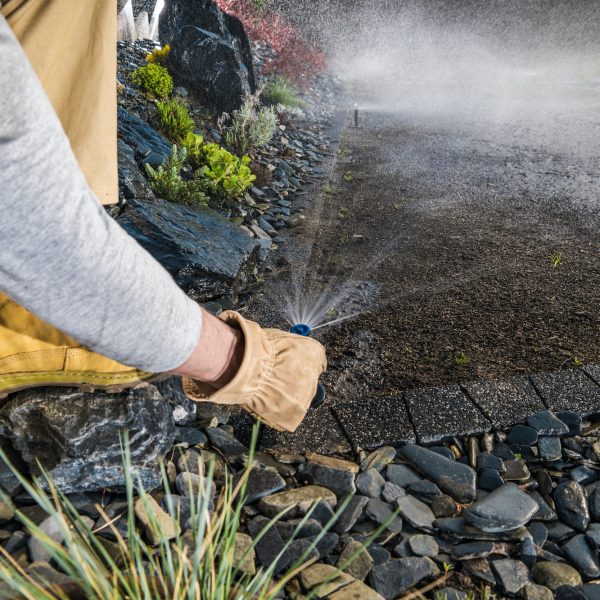 Landscaping Worker Adjusting Garden Water Sprinkler